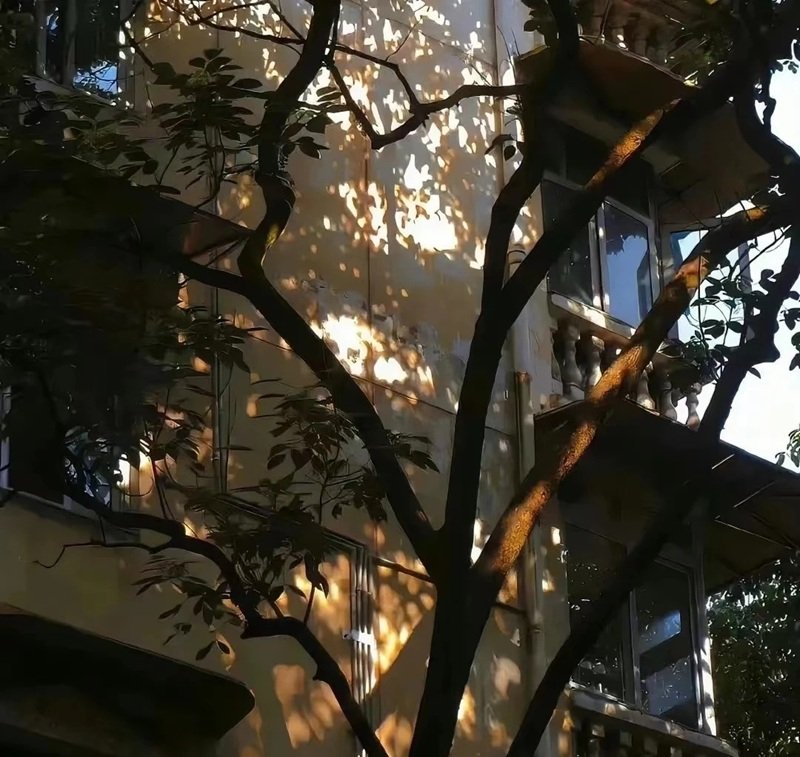 hình ảnh phong cảnh tâm trạng buồn 35