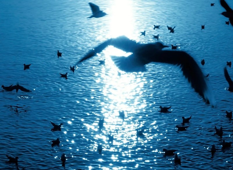 hình ảnh phong cảnh tâm trạng buồn 7