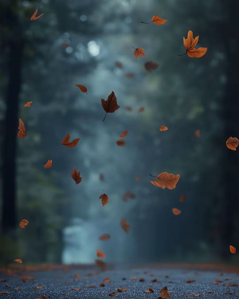 hình ảnh tâm trạng buồn phong cảnh 14