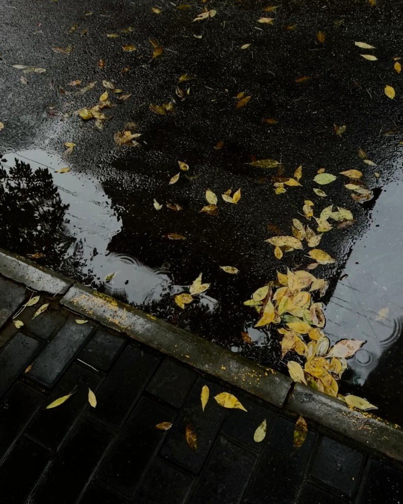 hình ảnh tâm trạng buồn phong cảnh 16