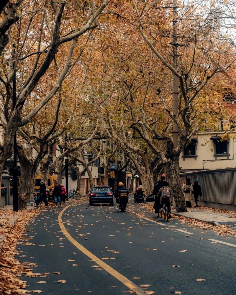 hình ảnh tâm trạng buồn phong cảnh 17