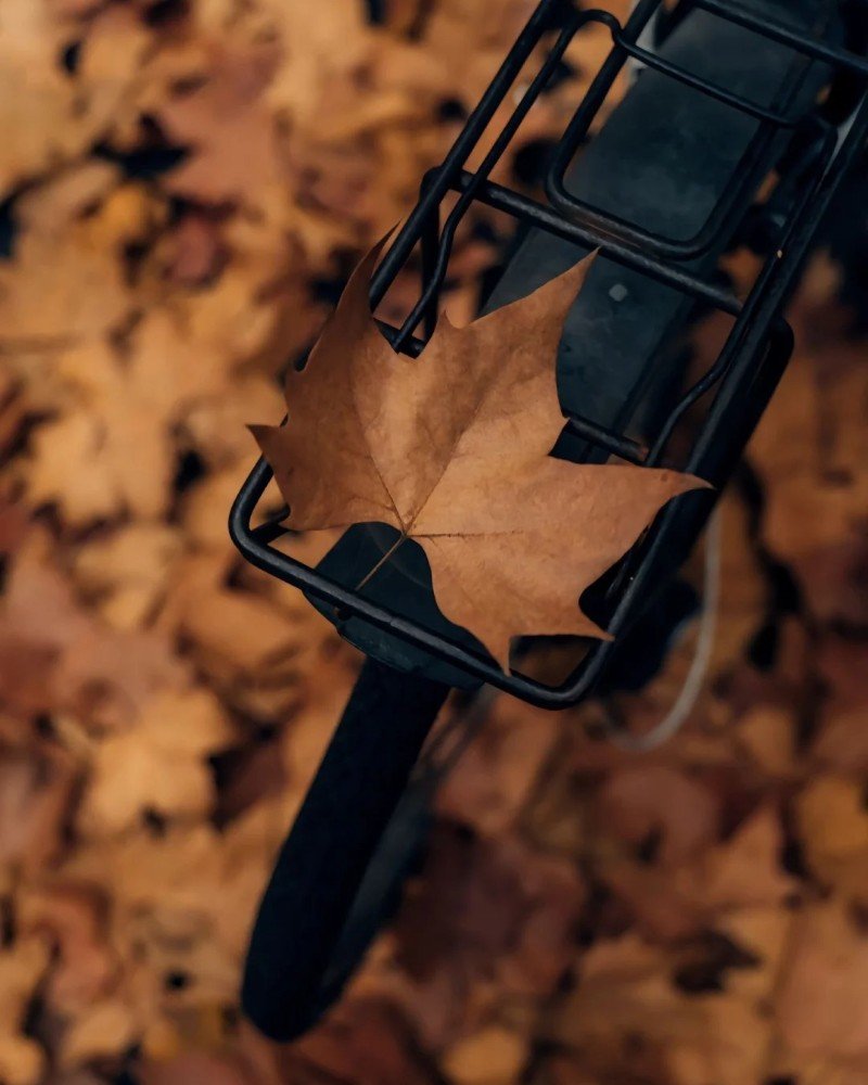 hình ảnh tâm trạng buồn phong cảnh 19