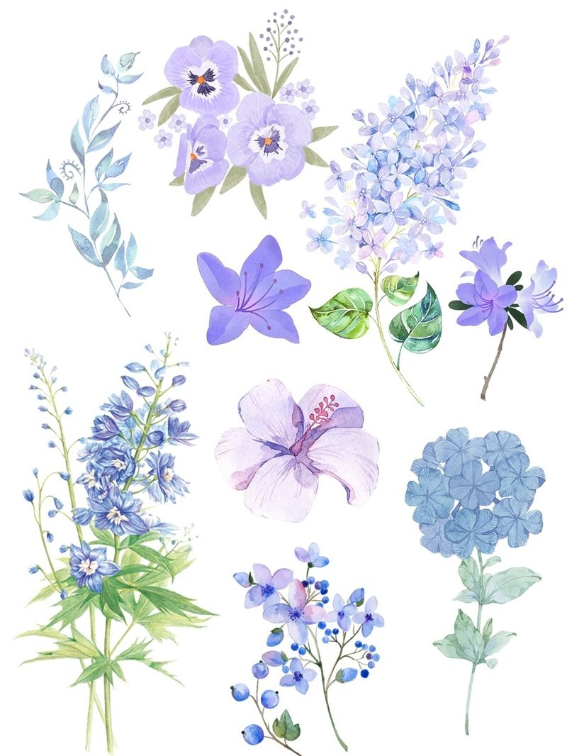 sticker bông hoa 13