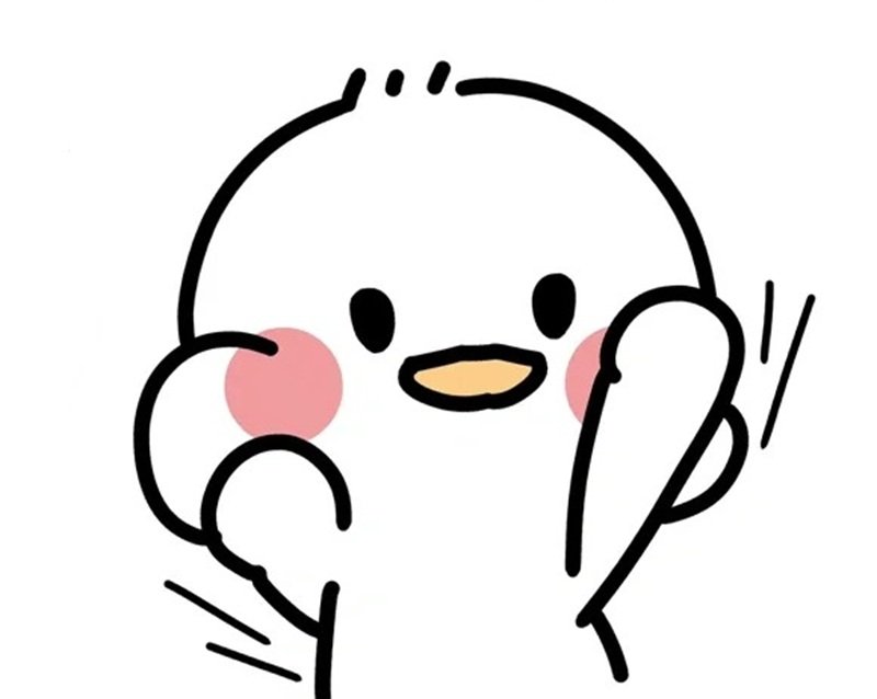 sticker con vịt 14