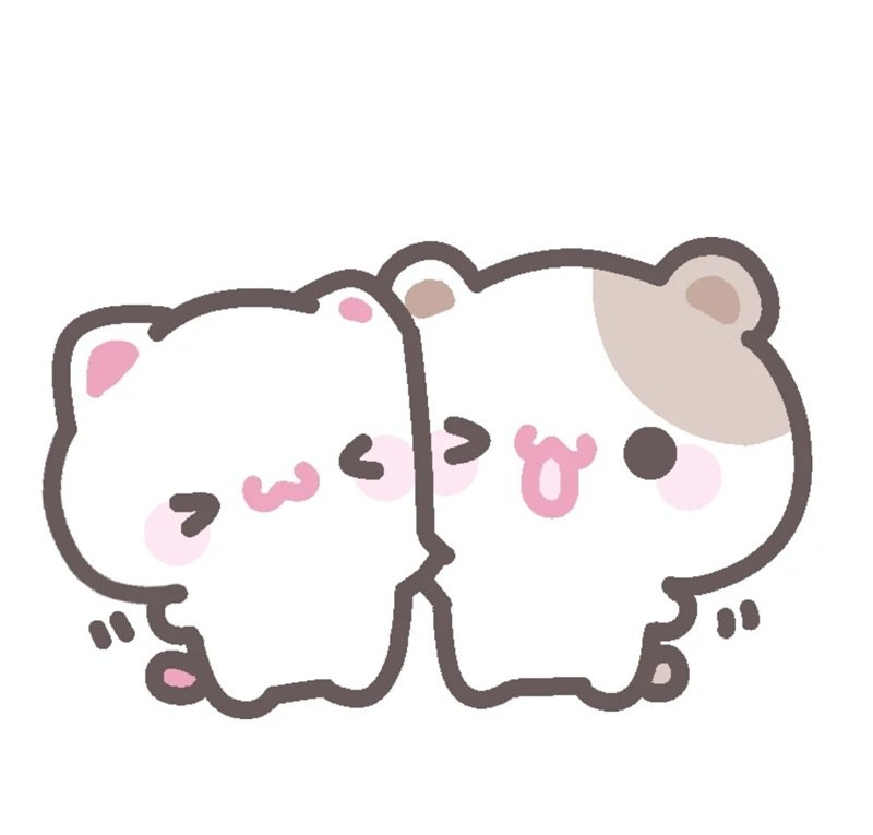 sticker gấu dí nhau 35