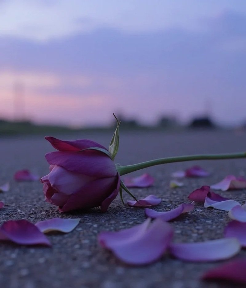 tâm trạng ảnh hoa buồn 30