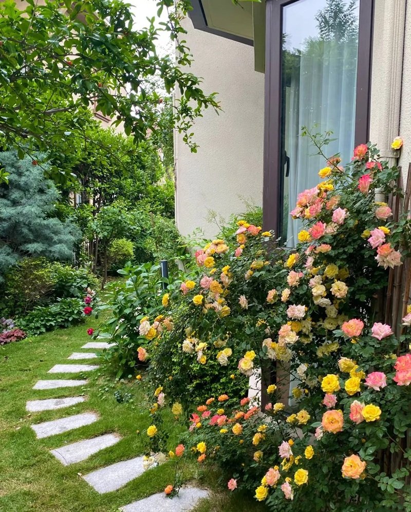 ý tưởng sân vườn đẹp tự làm 17