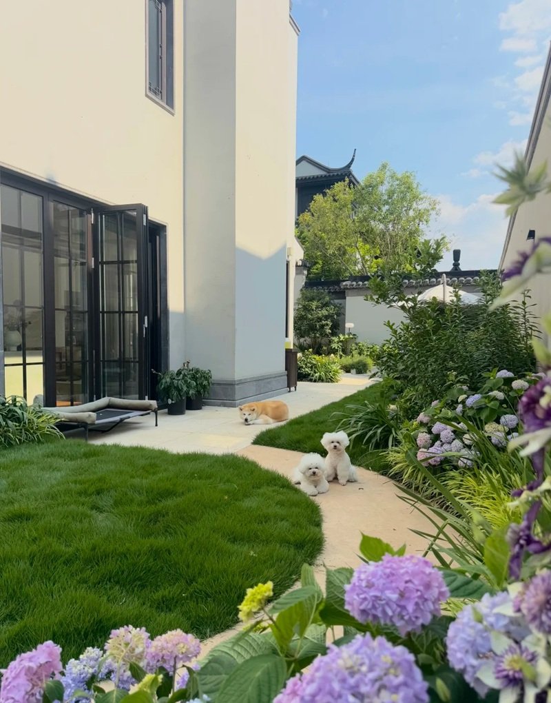 ý tưởng sân vườn đẹp tự làm 42