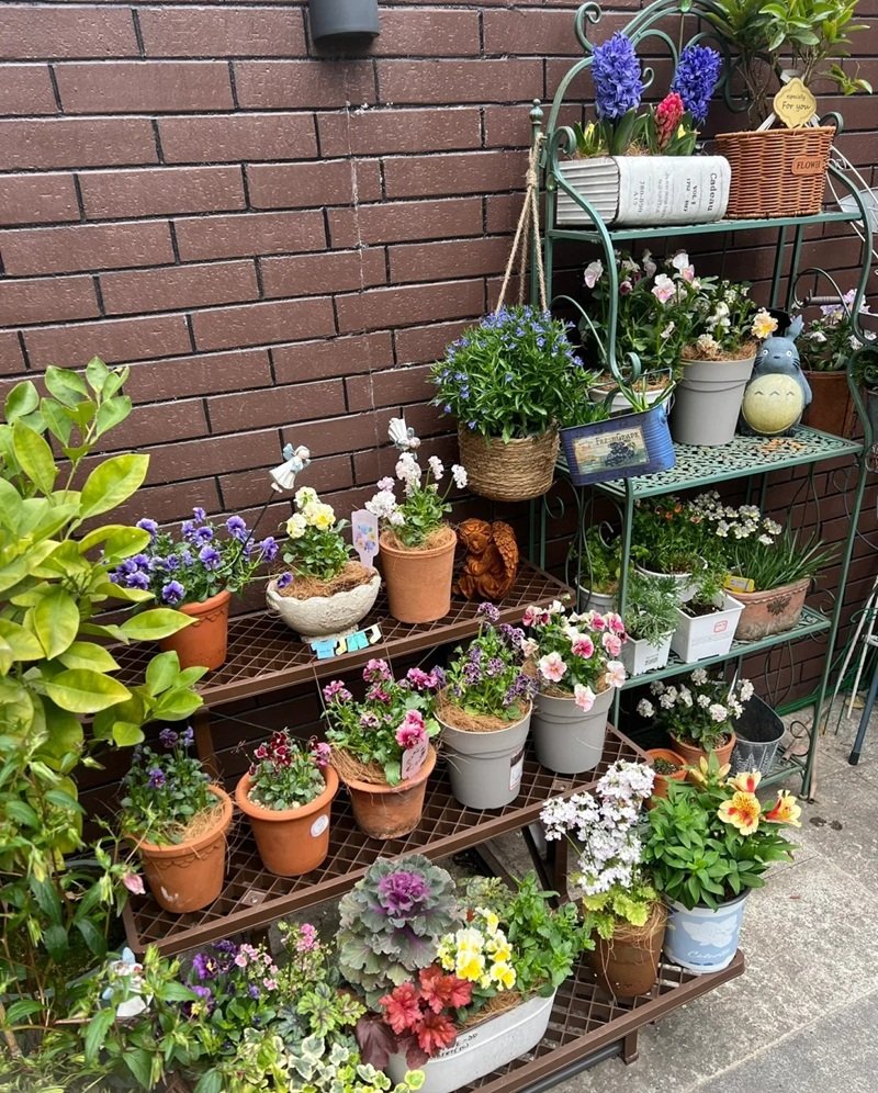 ý tưởng sân vườn đẹp tự làm 43