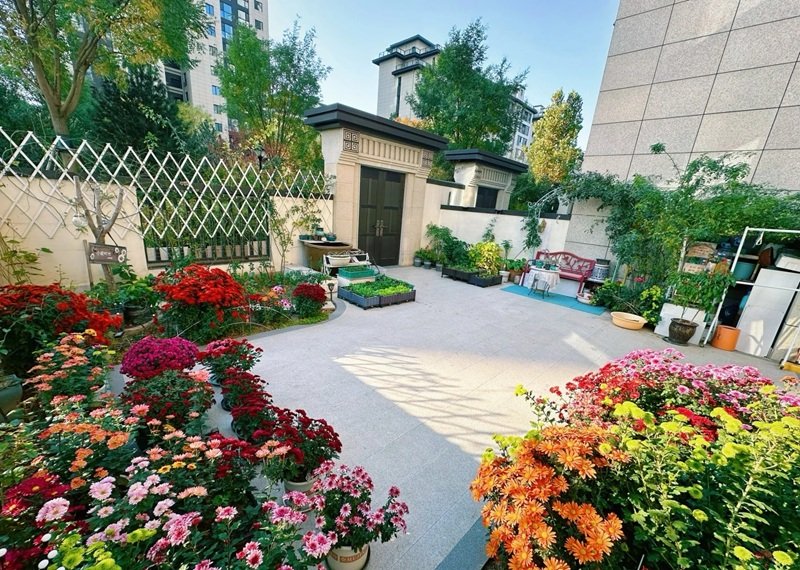 ý tưởng sân vườn đẹp tự làm 7