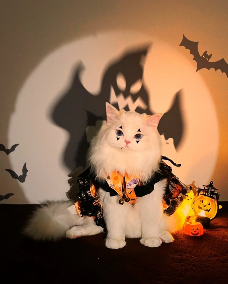 ý tưởng trang trí halloween 14