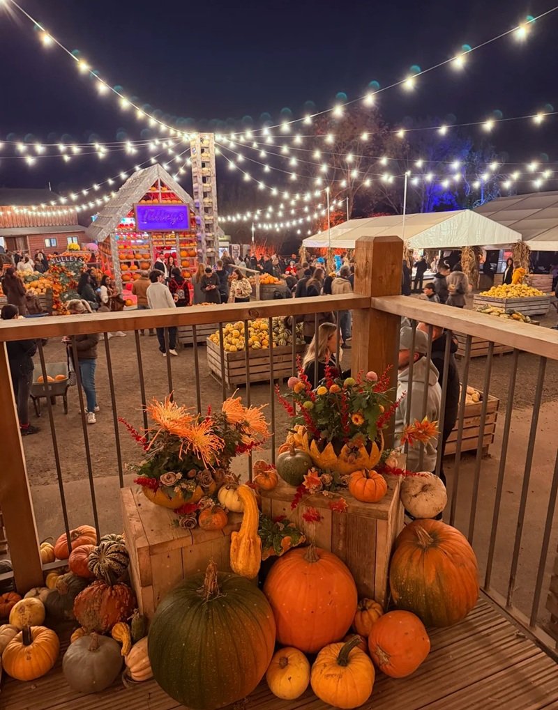 ý tưởng trang trí halloween 34