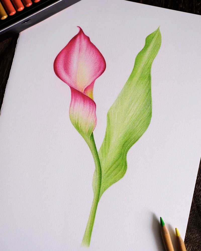 ý tưởng vẽ hoa 16