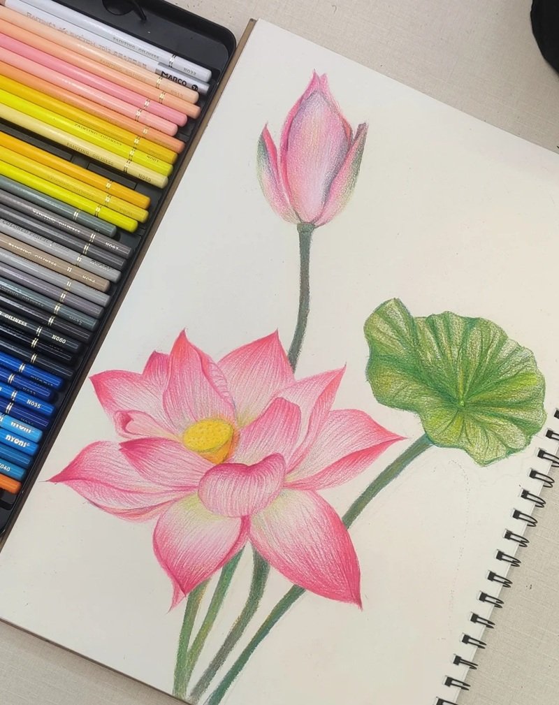 ý tưởng vẽ hoa 24