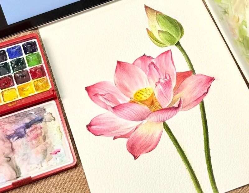 ý tưởng vẽ hoa sen