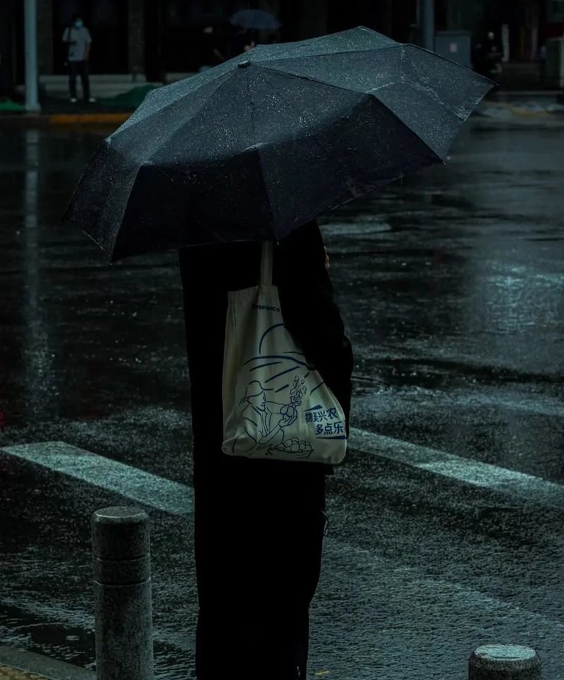 Ảnh Đi Dưới Mưa Buồn 21