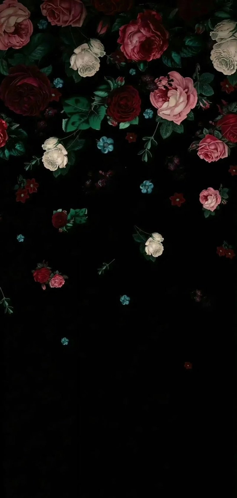 Ảnh Hoa Chill Buồn 36