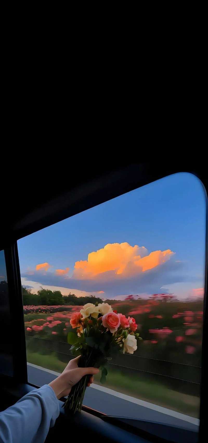 Ảnh Hoa Chill Buồn 41