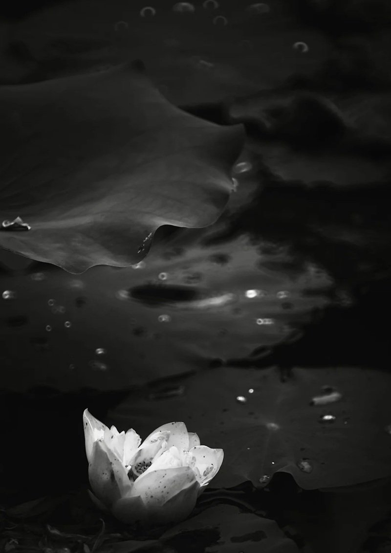 Avatar Ảnh Buồn Đám tang 2