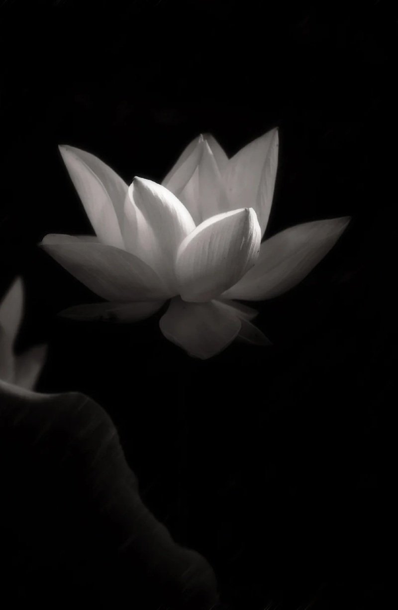 Avatar Ảnh Buồn Đám tang 23