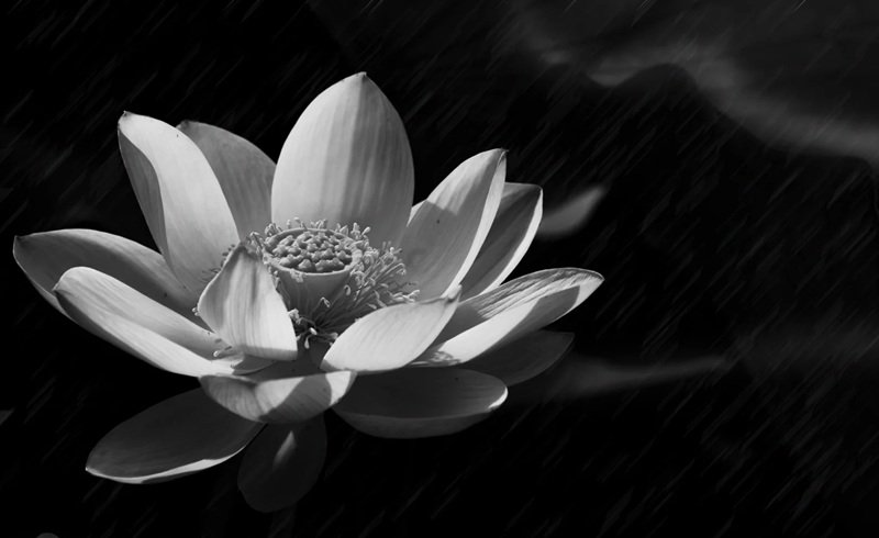 Avatar Ảnh Buồn Đám tang 26