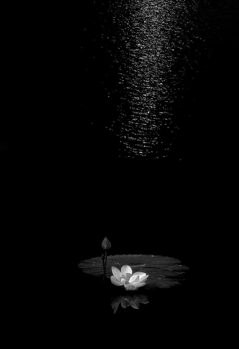 Avatar Ảnh Buồn Đám tang 27