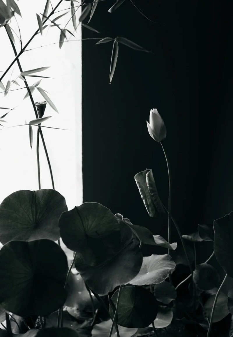 Avatar Ảnh Buồn Đám tang 40