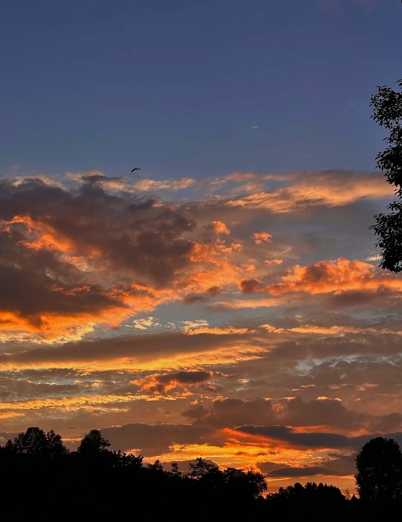 ảnh bầu trời hoàng hôn buồn 14