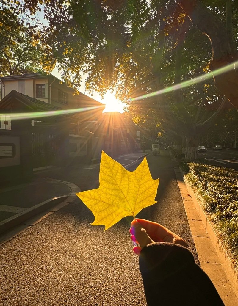 ảnh bầu trời hoàng hôn buồn 2