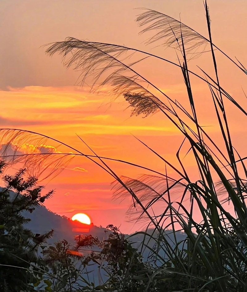 ảnh bầu trời hoàng hôn buồn 38