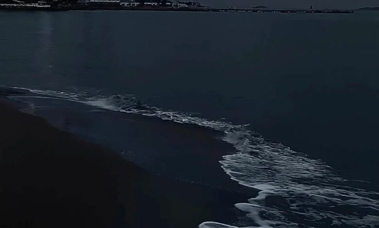 ảnh biển buồn 27