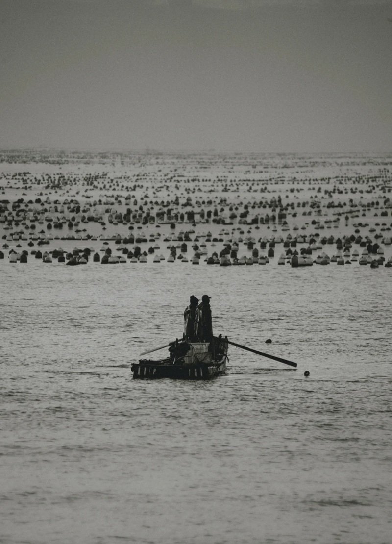 ảnh biển buồn 34