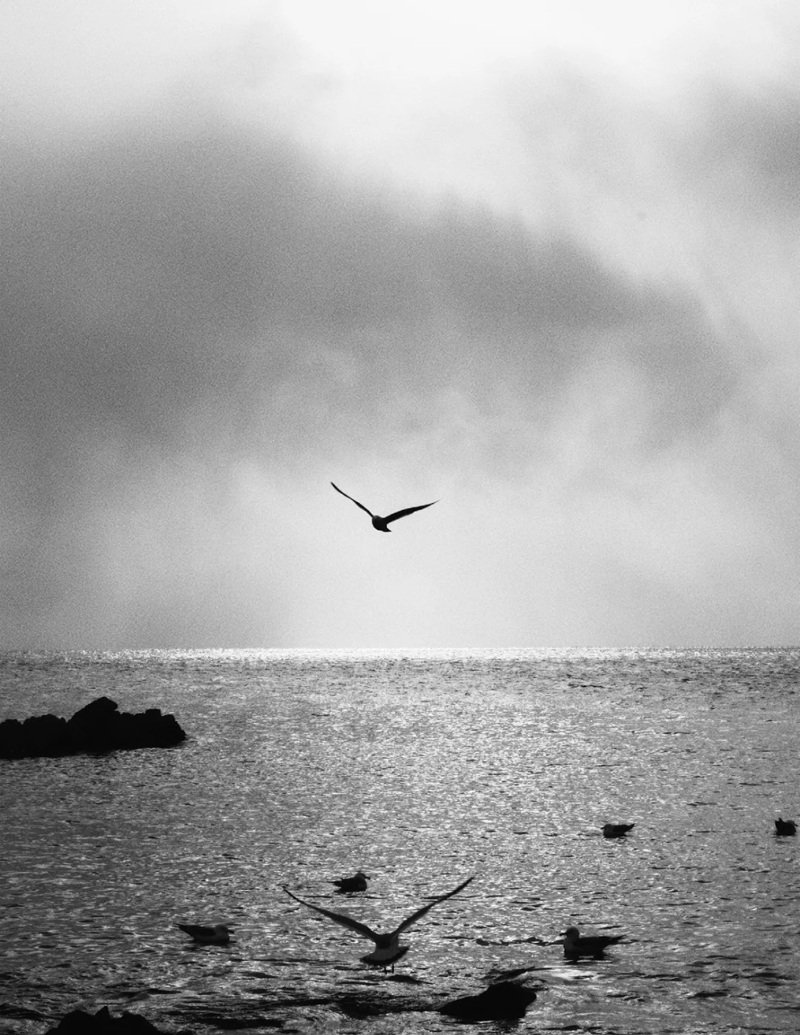 ảnh biển buồn 36