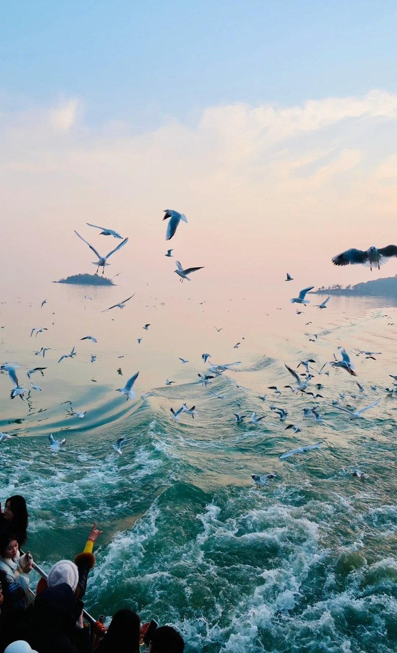 ảnh biển chill 31