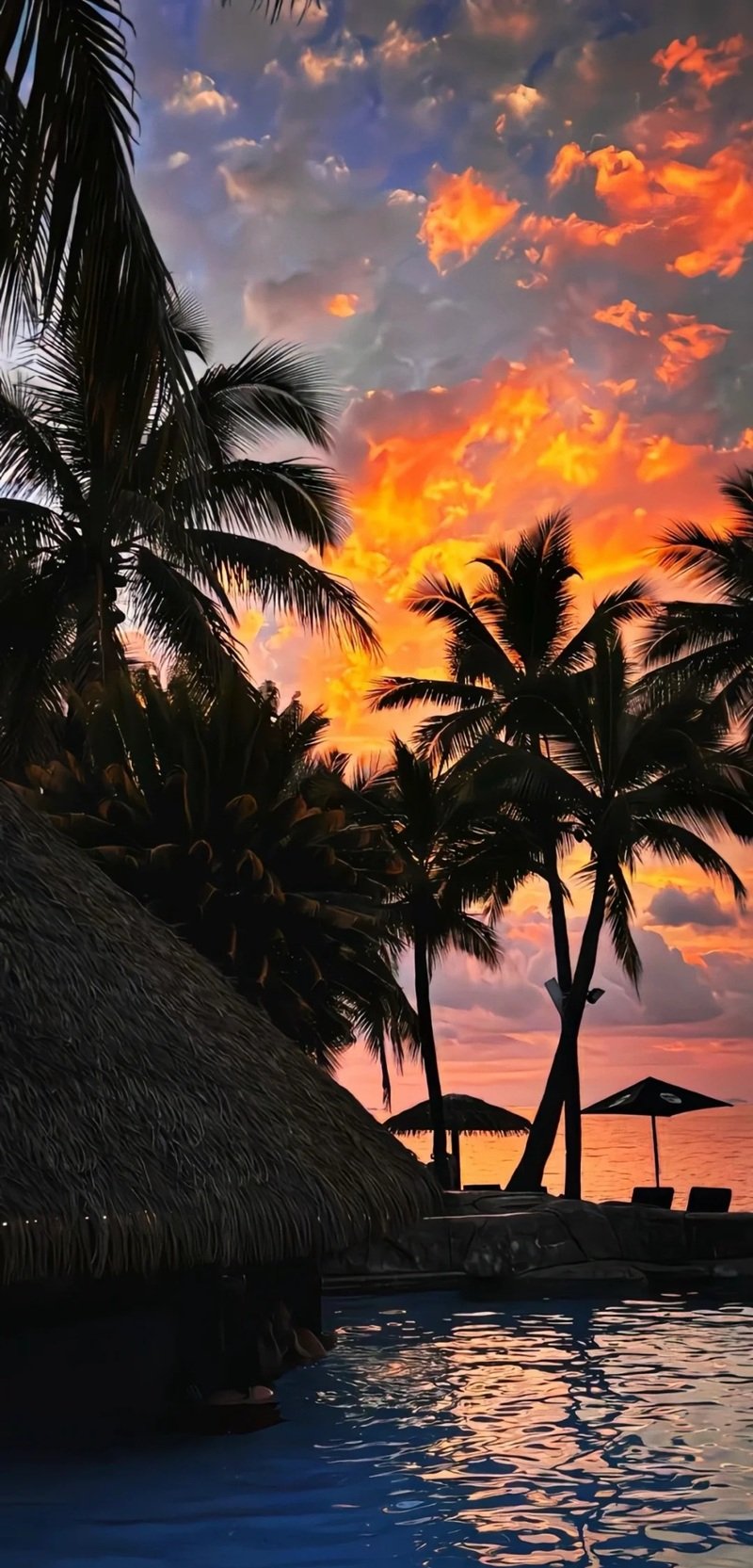 ảnh biển chill 4