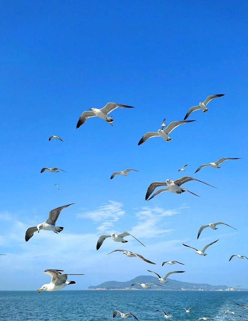 ảnh biển chill 41