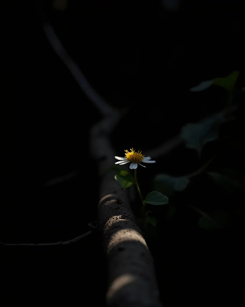 ảnh buồn màu đen 18