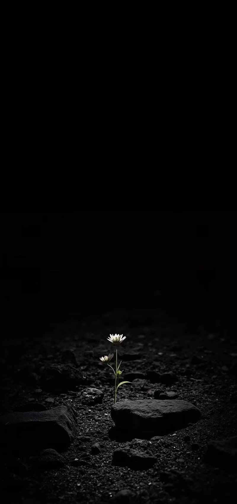 ảnh buồn màu đen 21