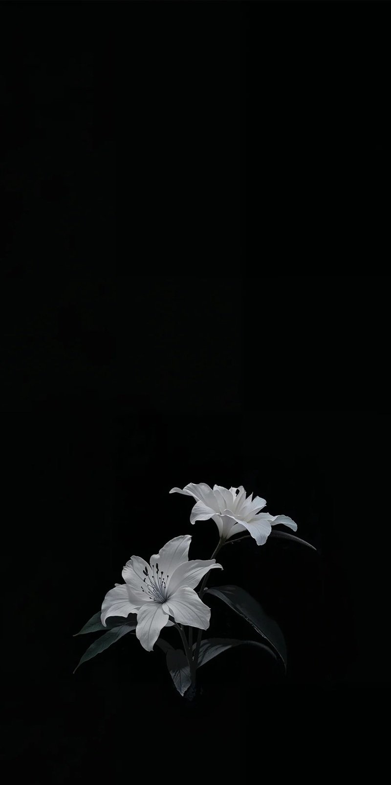 ảnh buồn màu đen 26