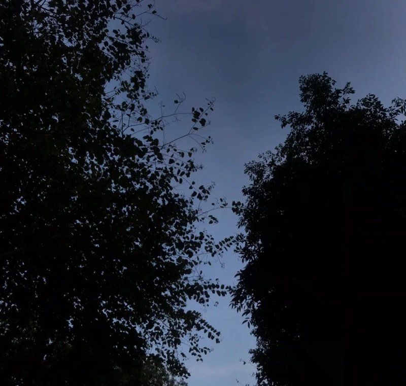 ảnh cảnh buồn 3