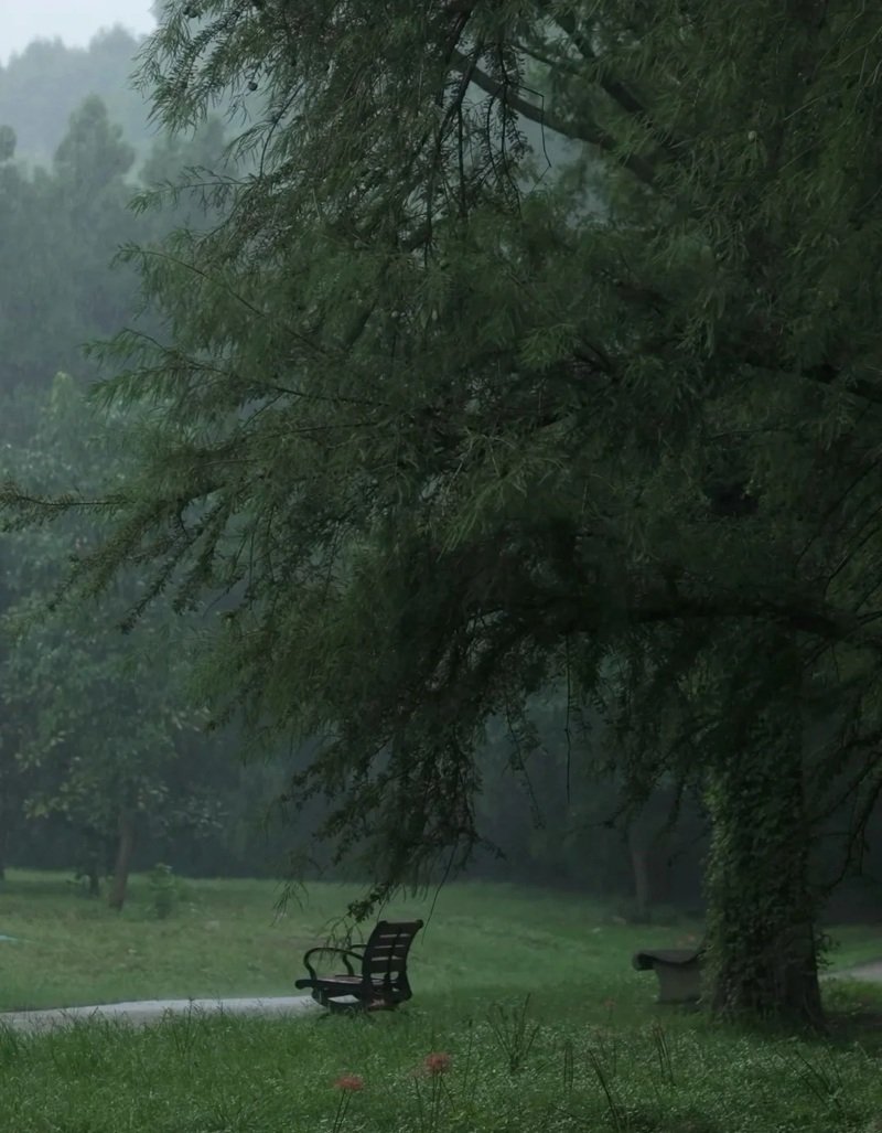 ảnh cảnh buồn 4