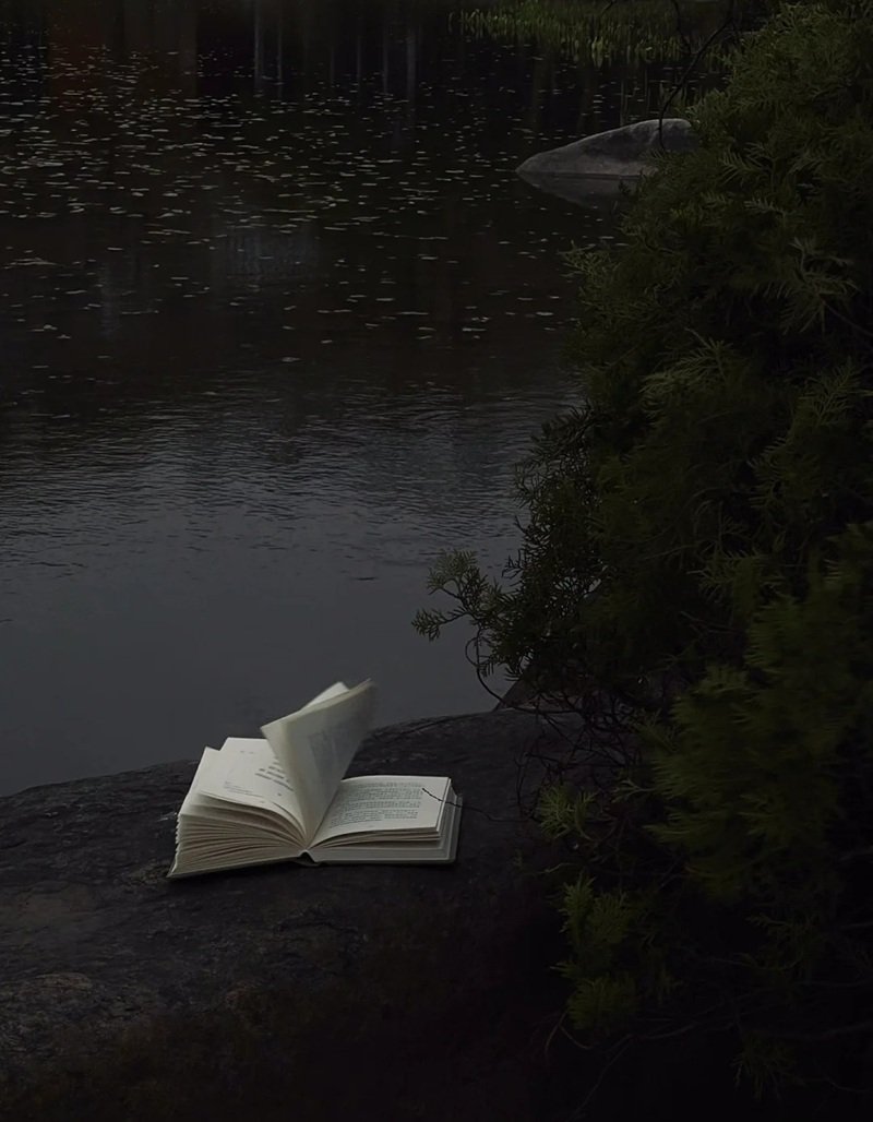 ảnh cảnh buồn 6