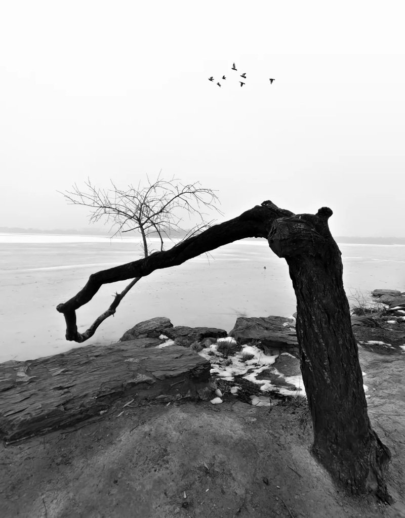 ảnh cảnh buồn 7