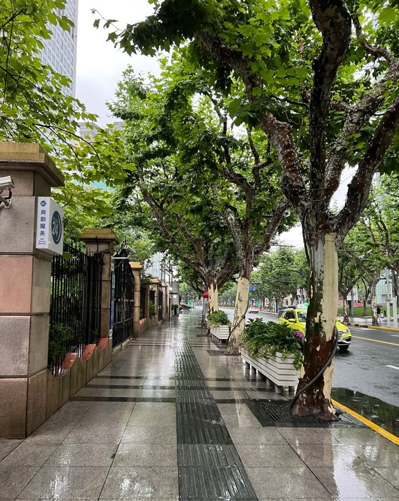 ảnh đường phố 22