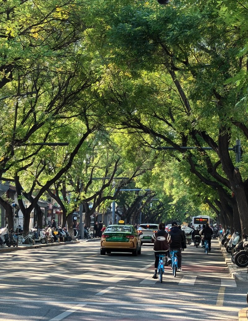 ảnh đường phố 26