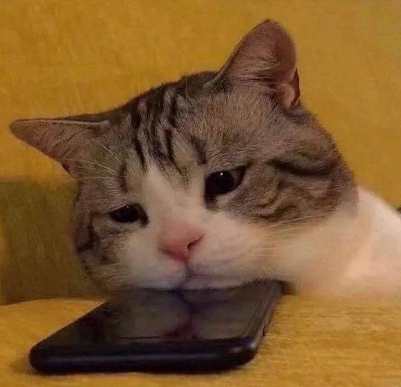 ảnh meme buồn 12