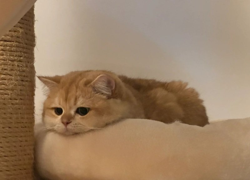 ảnh meme buồn 17