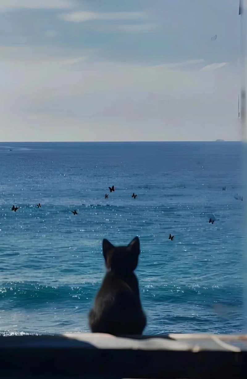 ảnh mèo buồn 18