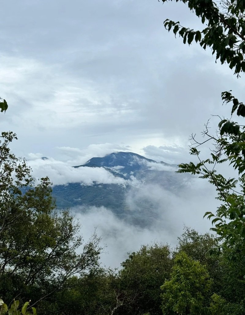 ảnh phong cảnh chill 11