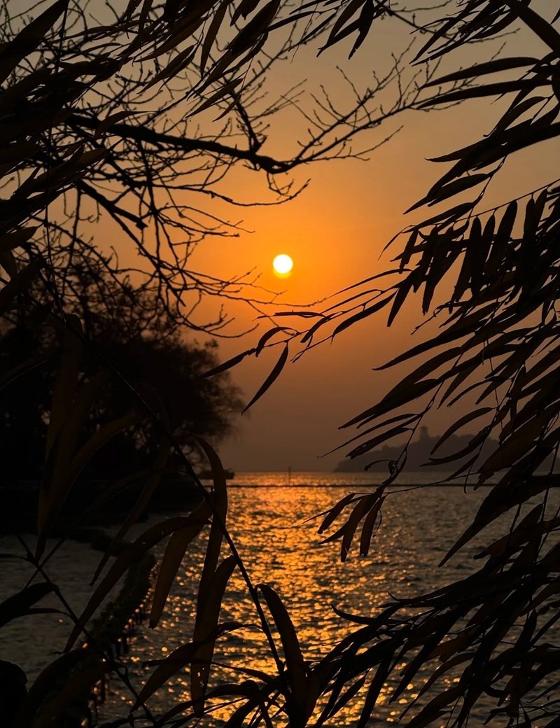 ảnh phong cảnh chill 12